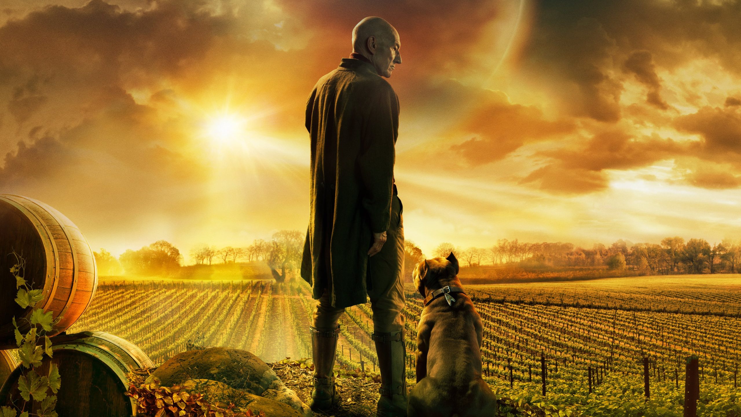 Patrick Stewart retorna para seu papel de capitao na serie Star Trek Picard